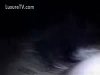 Mutt fucking experience